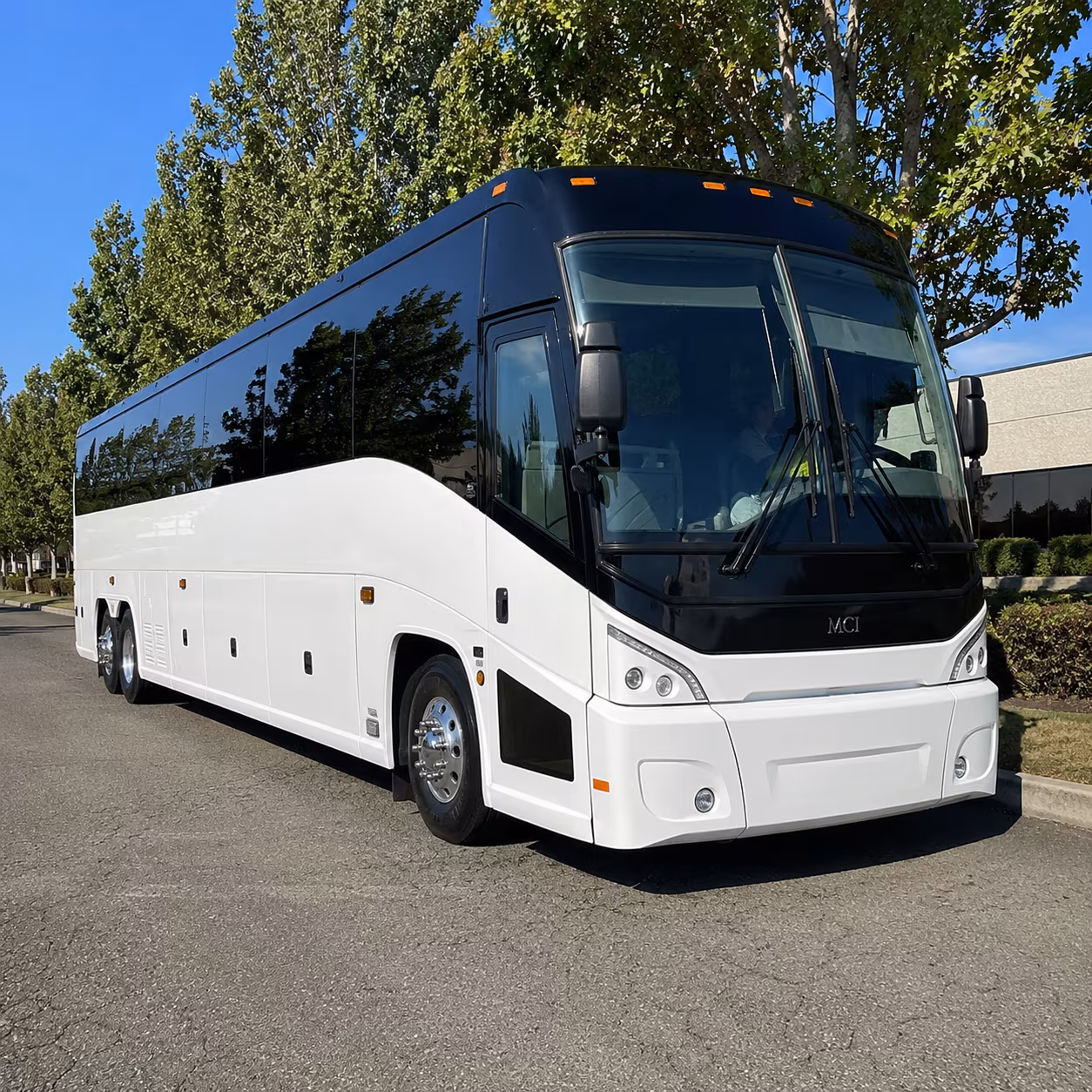 buena park 50 passenger charter bus