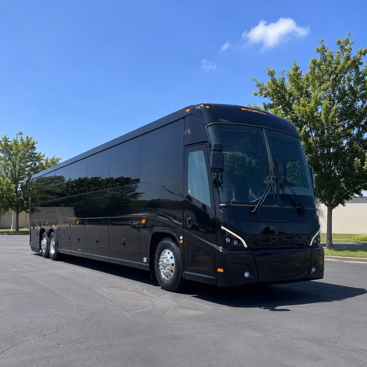 buena park 56 passenger charter bus