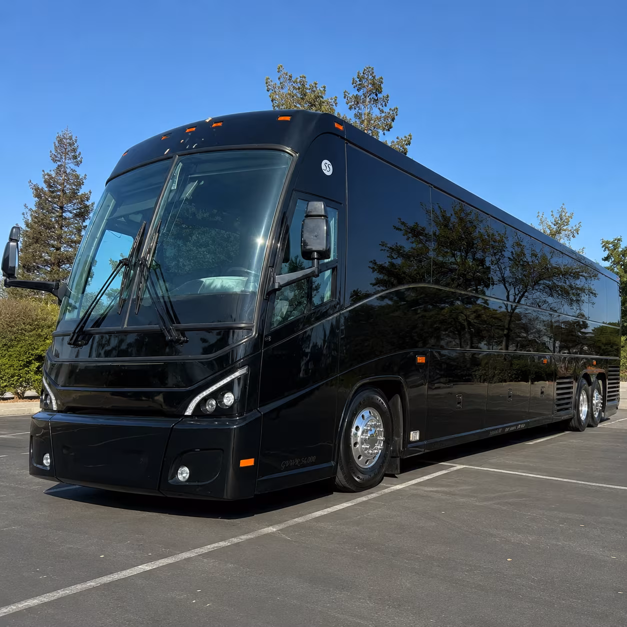 buena park birthday party transportation onboard seating